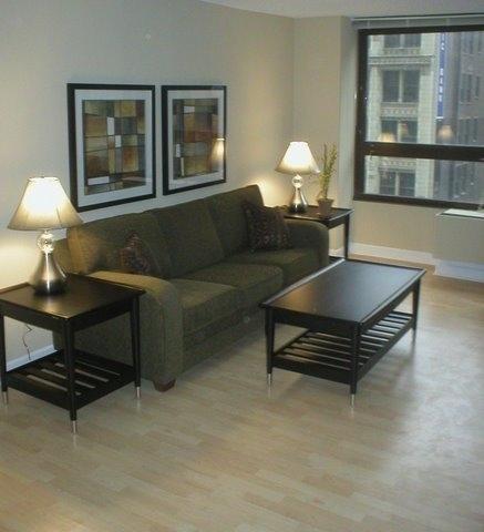 Oakwood At Millennium Park Plaza Aparthotel Chicago Ngoại thất bức ảnh